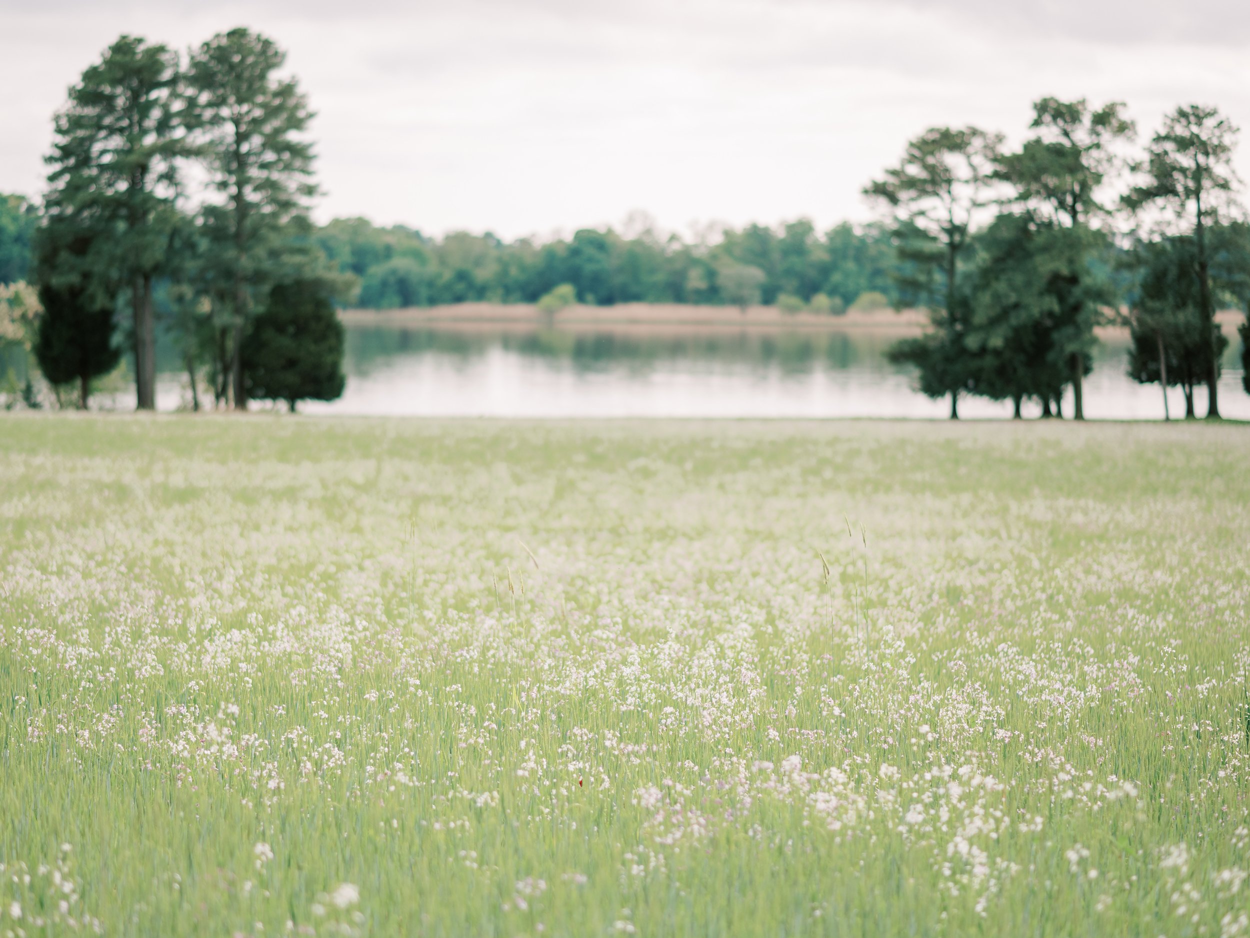 Brittland Estates Wedding